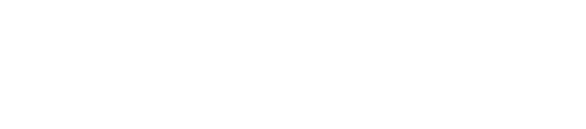 zimmor-logo-white